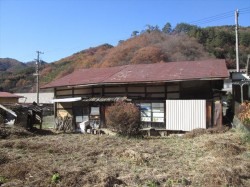 東側より（手前は地続きの畑）